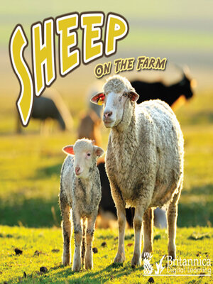 cover image of Sheep on the Farm